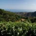 Elviria property: Malaga Villa, Spain 243375