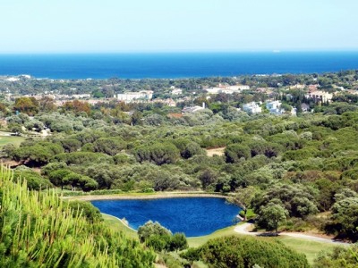 Sotogrande property: Villa with 6 bedroom in Sotogrande 243398