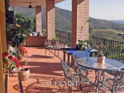Marbella property: Malaga Villa 243428