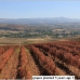 Ronda property: bedroom Commercial in Malaga 243445
