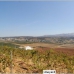 Ronda property: Commercial in Malaga 243445