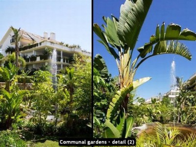 Marbella property: Malaga Apartment 243503