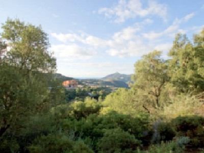 Marbella property: Land for sale in Marbella 244015