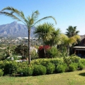 Nueva Andalucia property: Villa for sale in Nueva Andalucia 244023