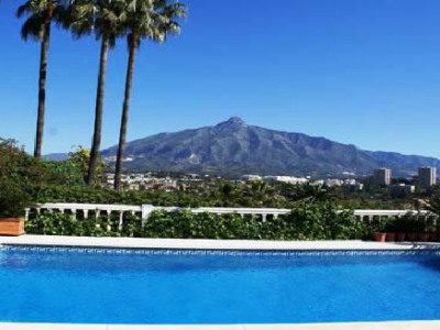 Nueva Andalucia property: Villa with 5 bedroom in Nueva Andalucia, Spain 244023
