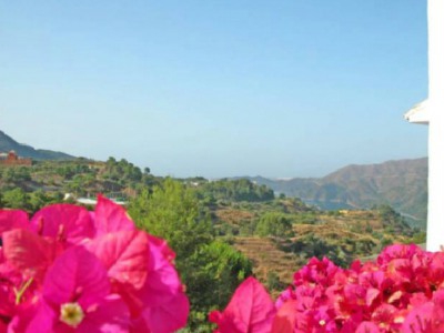 Istan property: Istan, Spain | Commercial for sale 244057