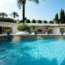 Nueva Andalucia property: Malaga, Spain Villa 244065