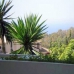 El Paraiso property: El Paraiso, Spain Apartment 244073