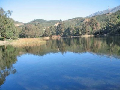 Nueva Andalucia property: Villa with 4 bedroom in Nueva Andalucia 244113