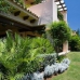 Nueva Andalucia property: Nueva Andalucia, Spain Apartment 244117