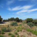 Elviria property: Land for sale in Elviria 244152