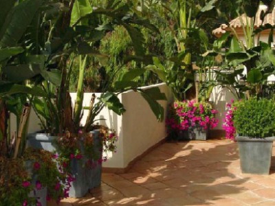 Rio Real property: Penthouse with 2 bedroom in Rio Real 244165