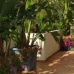 Rio Real property: 2 bedroom Penthouse in Rio Real, Spain 244165
