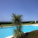 Elviria property: Duplex for sale in Elviria 244238