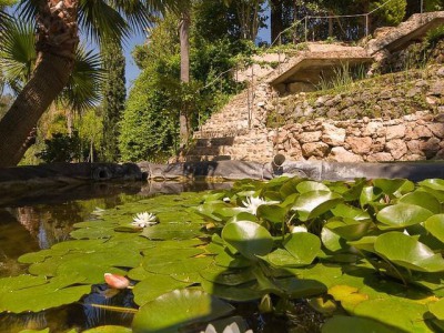 Hacienda Las Chapas property: Malaga property | 6 bedroom Villa 244239