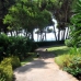 Marbella property: Malaga, Spain Apartment 244268
