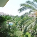 Marbella property: Malaga, Spain Apartment 244339