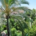 Marbella property: Malaga Apartment, Spain 244339