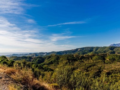 Benahavis property: Land for sale in Benahavis, Spain 244377