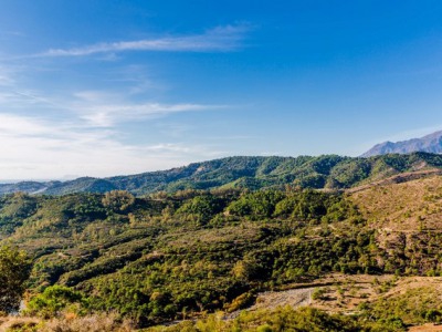 Benahavis property: Land with bedroom in Benahavis 244377