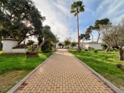 Estepona property: Villa for sale in Estepona, Spain 244388
