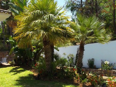 Marbella property: Malaga Villa 244407