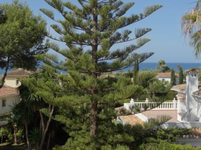 Marbesa property: Marbesa Villa 244849