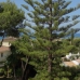 Marbesa property: Beautiful Villa for sale in Malaga 244849