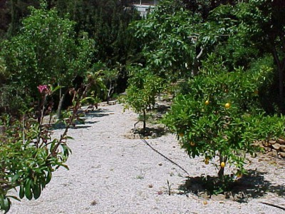 Marbella property: Malaga property | 6 bedroom Villa 244868