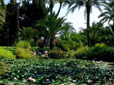 Marbella property: Apartment with 3 bedroom in Marbella, Spain 244909