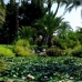 Marbella property: 3 bedroom Apartment in Malaga 244909
