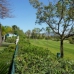 Marbella property:  Villa in Malaga 244938