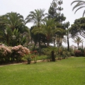 Marbella property: Apartment for sale in Marbella 244968