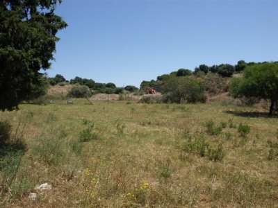 Estepona property: Malaga property | bedroom Land 245010