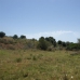 Estepona property: Land for sale in Estepona 245010