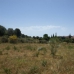 Estepona property: Land in Malaga 245010