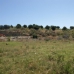 Estepona property: Beautiful Land for sale in Estepona 245010