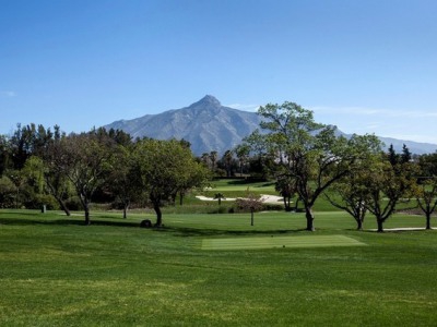 Marbella property: Villa for sale in Marbella, Malaga 245013