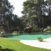 Marbella property:  Villa in Malaga 245050