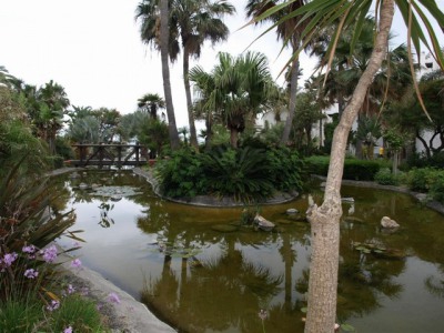 Marbella property: Marbella Penthouse 245051