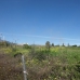 Estepona property: Commercial for sale in Estepona 245056