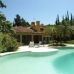 Estepona property: Villa for sale in Estepona 245067