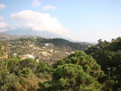 Benahavis property: Benahavis Villa 245816