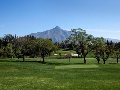 Marbella property: Villa for sale in Marbella 245849