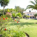 Marbella property: Villa for sale in Marbella 245860