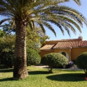 Mijas Costa property: Villa for sale in Mijas Costa 245868
