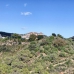 Marbella property: Villa in Malaga 245933