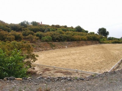 Coin property: Coin House 245969