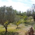 Estepona property: Malaga Villa, Spain 246011