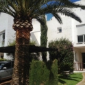 Marbella property: Townhome for sale in Marbella 246012